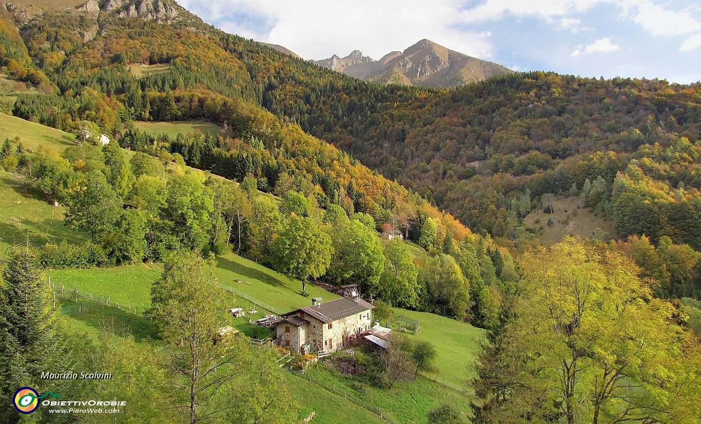 09 Sinfonia autunnale di boschi e montagne....JPG